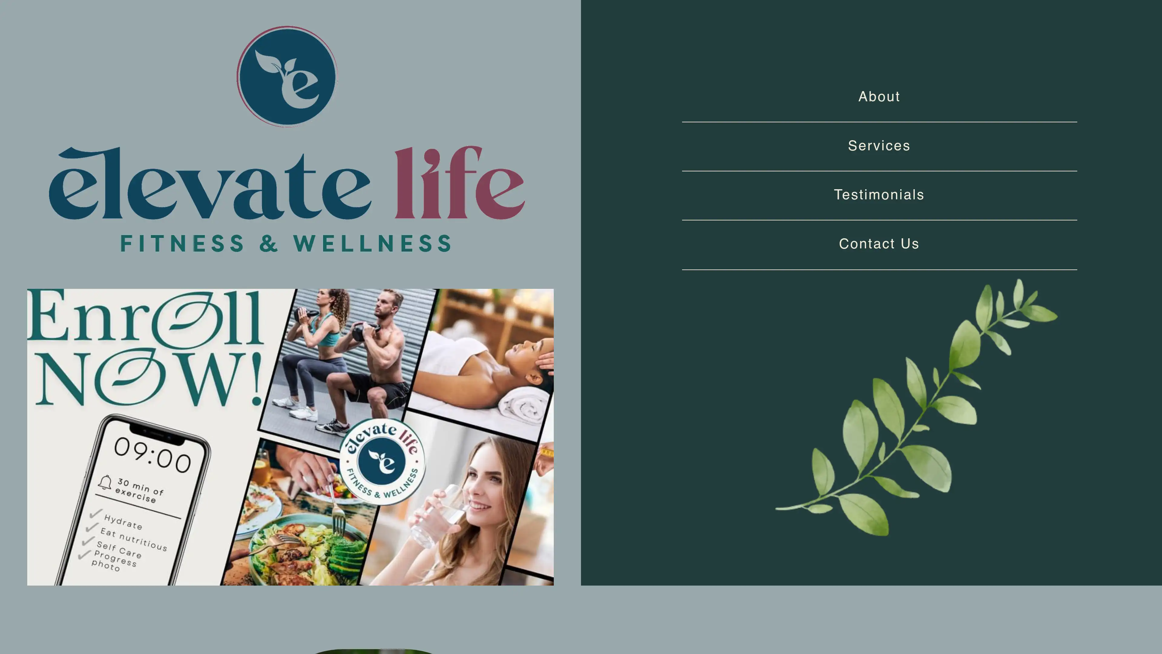 Elevate Life and Fitness
