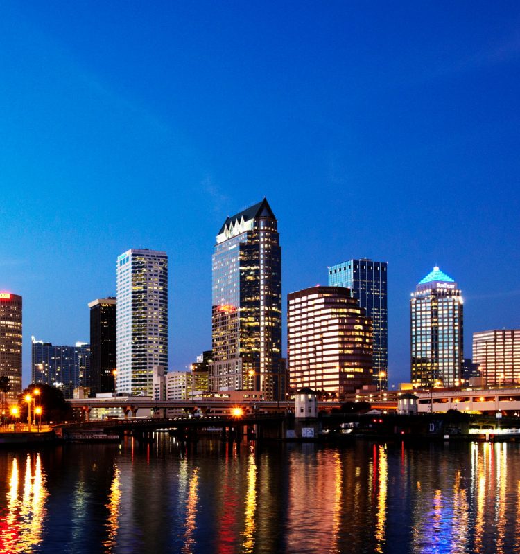 SEO services in Tampa FL